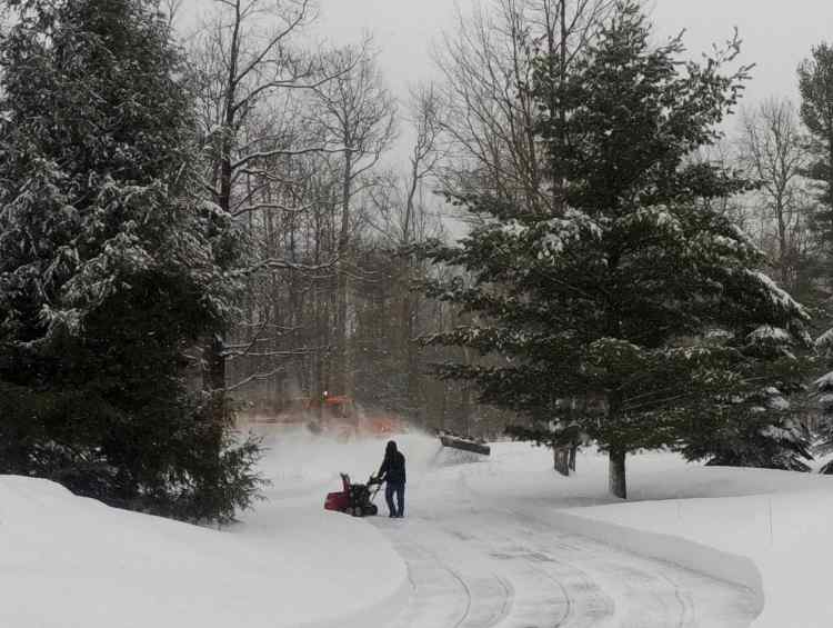 Love the Plow.jpg