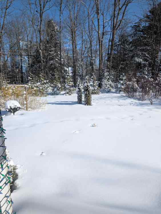 PXL_20260221_153326896.jpg