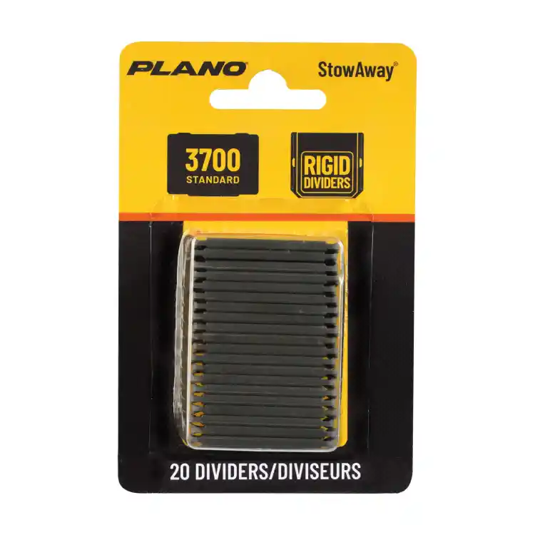 divider.webp