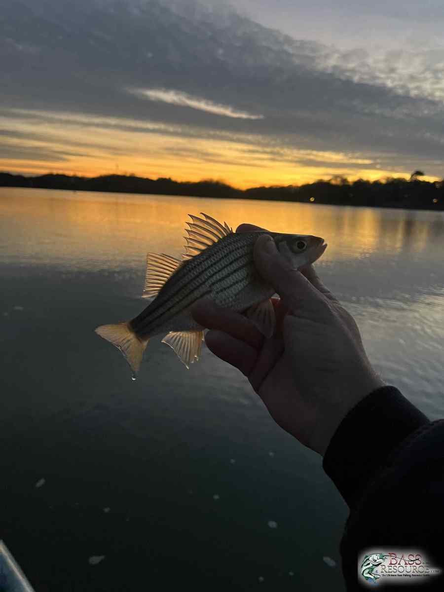 large.IMG_6164.jpeg
