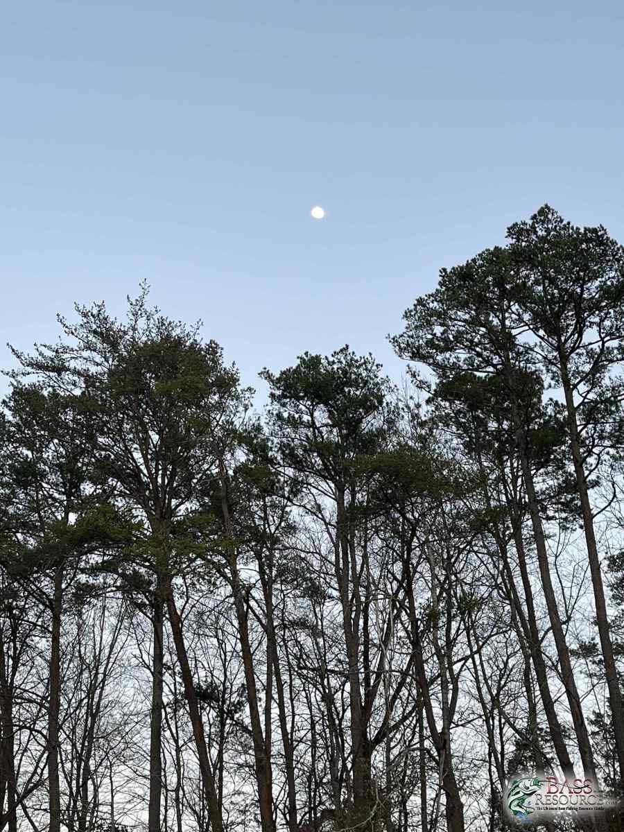 large.IMG_6297.jpeg