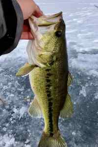 IMG_4396.jpeg