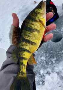 IMG_4397.jpeg