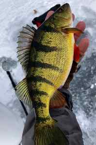 IMG_4399.jpeg