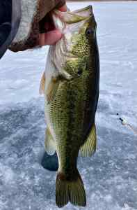 IMG_4402.jpeg