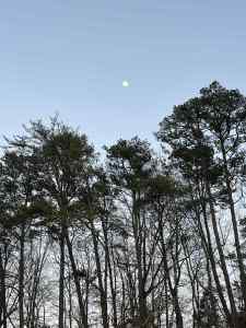 IMG_6297.jpeg