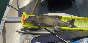 IMG_6328.jpeg