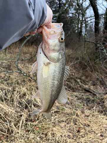 1st bass of the year.JPG