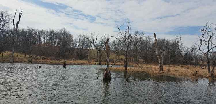 20260325_110943.jpg