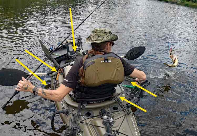 Aerial Bass Neverlost Leashes.jpg