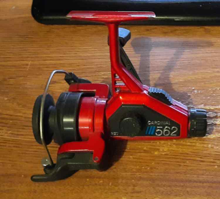 Cardinal 562.jpg