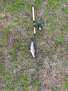 IMG_1698 (1).jpeg