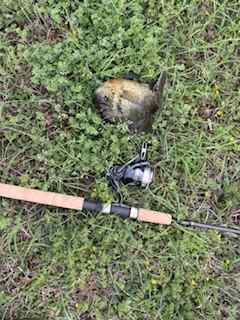 IMG_1728.jpeg