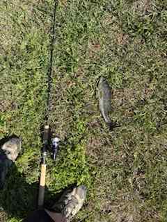 IMG_1743.jpeg