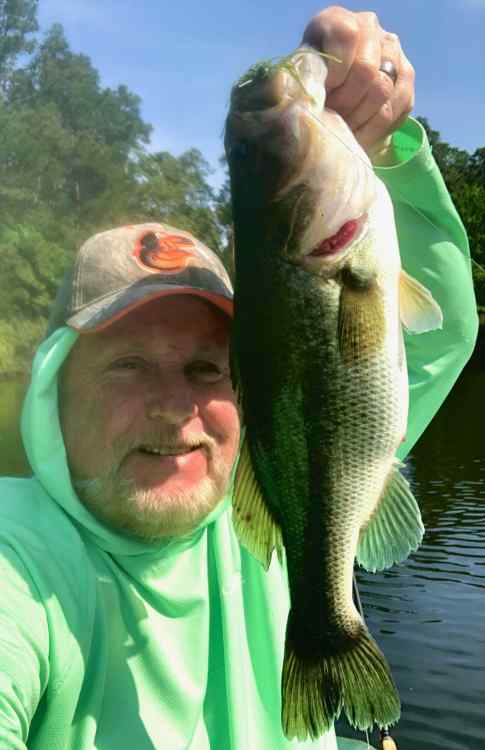 image1.jpeg
