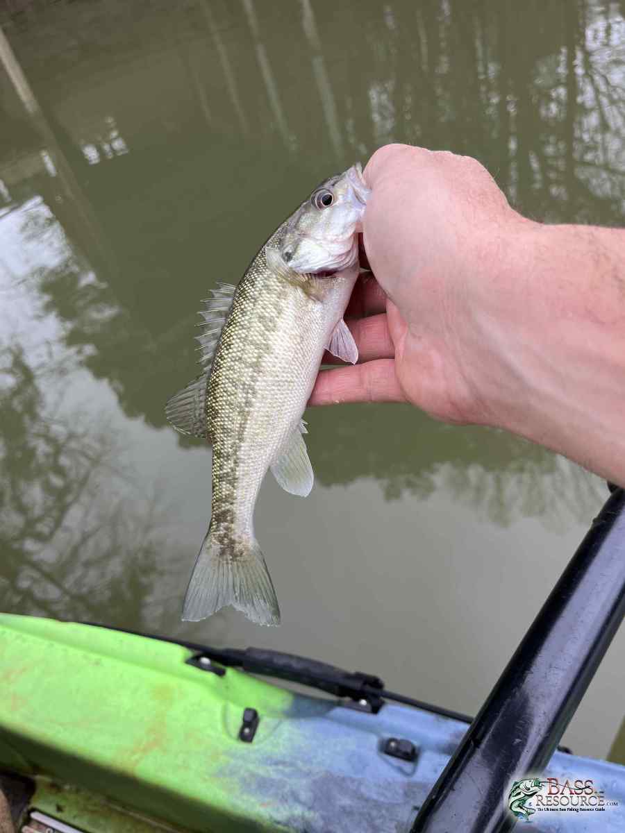 large.IMG_6442.jpeg