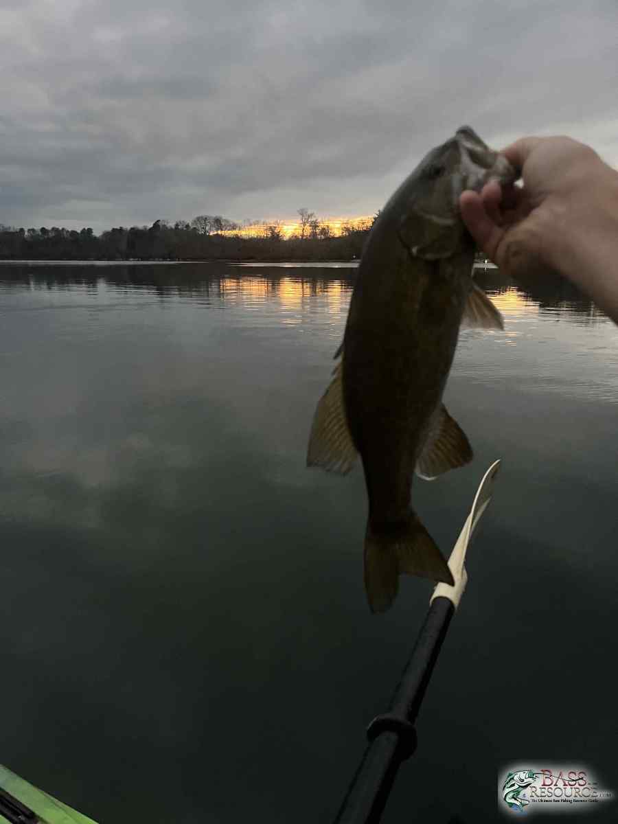 large.IMG_6456.jpeg