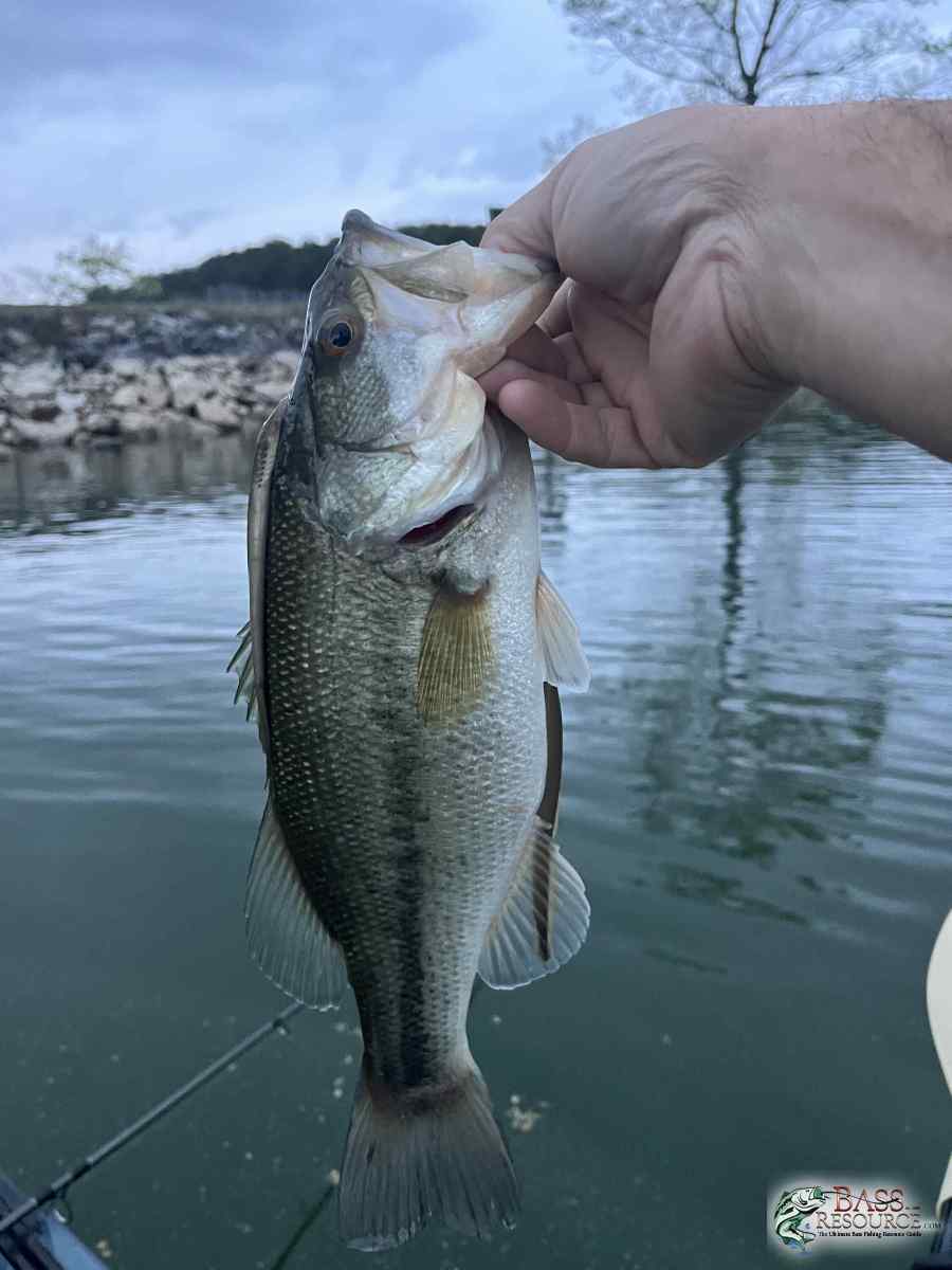 large.IMG_6771.jpeg