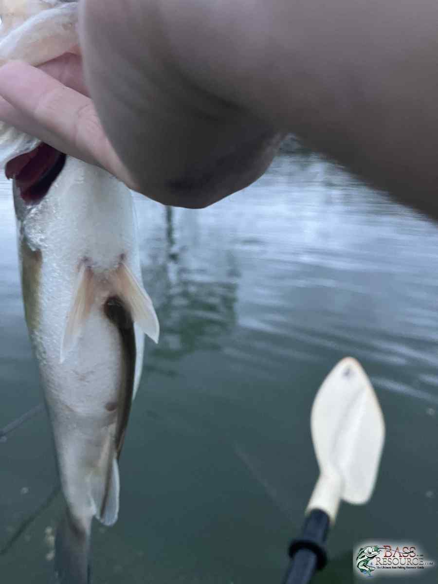 large.IMG_6773.jpeg