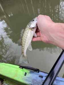 IMG_6442.jpeg
