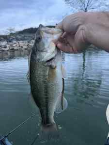 IMG_6771.jpeg