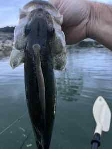 IMG_6772.jpeg