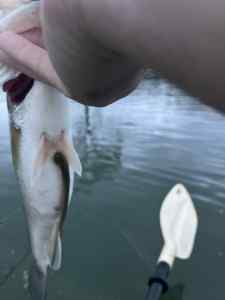 IMG_6773.jpeg