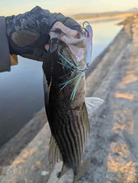 str05.jpg