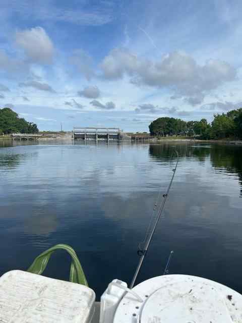 IMG_0314.jpeg