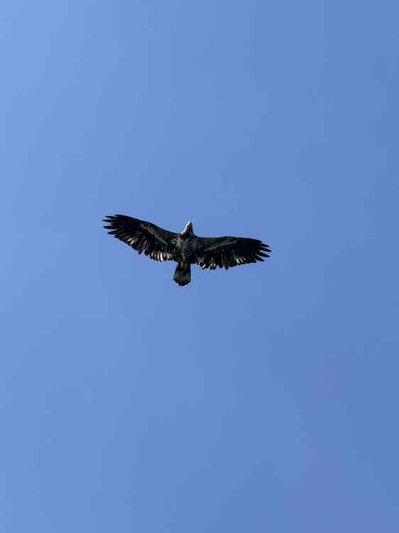 IMG_0614.jpeg