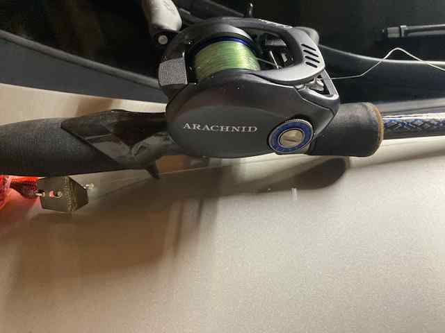 IMG_1576.jpeg