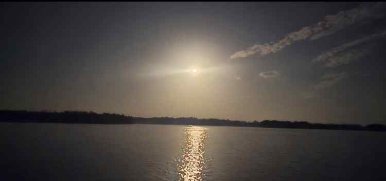 Screenshot_20260402_151210_Gallery.jpg
