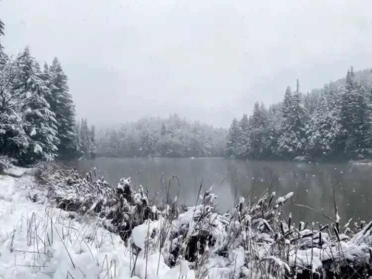 Snow Lake.webp