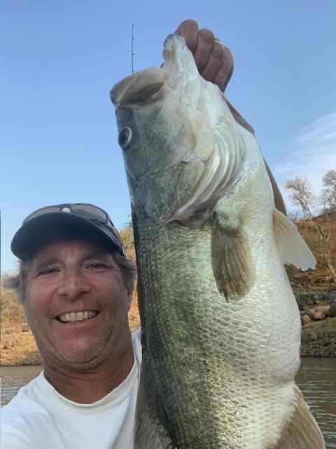 bass3.jpg