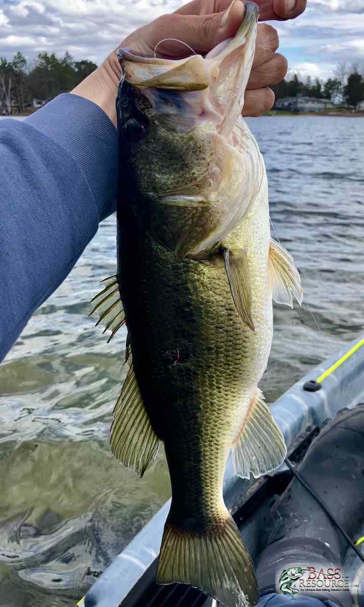 large.IMG_4512.jpeg
