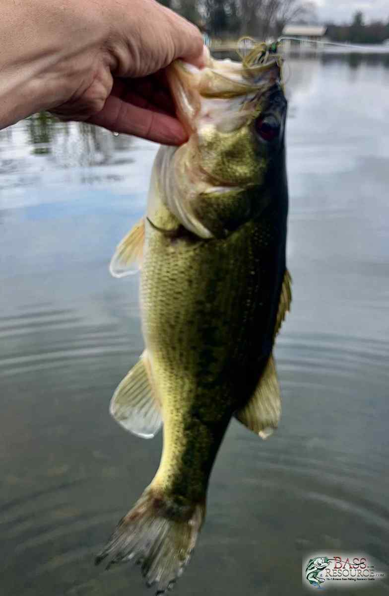 large.IMG_4529.jpeg