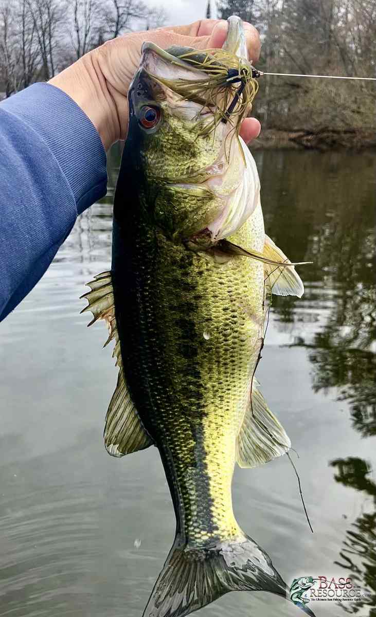 large.IMG_4530.jpeg