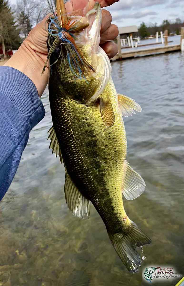 large.IMG_4543.jpeg
