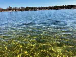 IMG_4491.jpeg