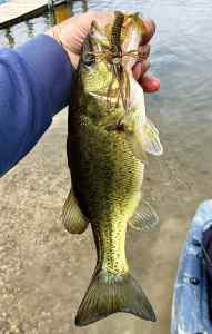 IMG_4534.jpeg
