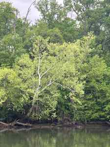 IMG_7058.jpeg