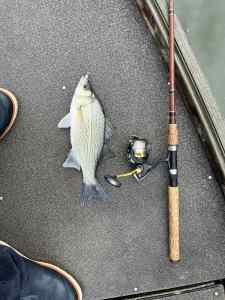 IMG_7059.jpeg