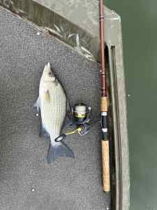 IMG_7060.jpeg
