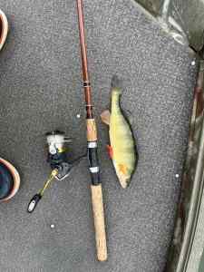 IMG_7061.jpeg