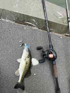 IMG_7067.jpeg