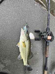 IMG_7069.jpeg