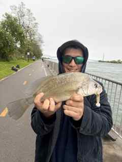 IMG_0350.jpeg