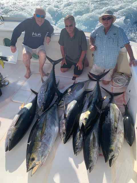 Tuna May 25 2026.jpg