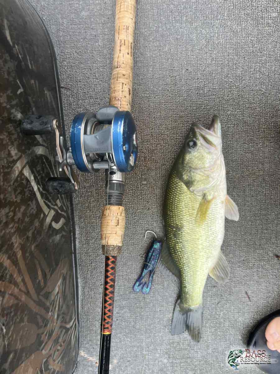 large.IMG_7395.jpeg