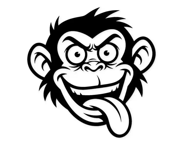 monkey.webp